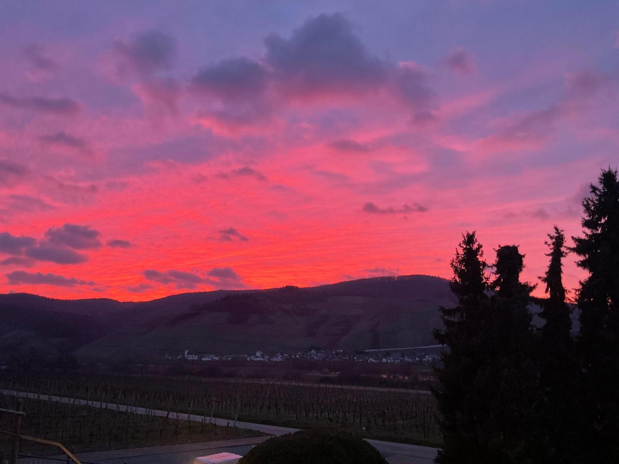 Weingut Bastian Ξενοδοχείο Brauneberg Εξωτερικό φωτογραφία